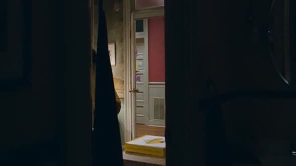 Náhled Agent v sukni 3 (CZ-dab-2011).avi (4)