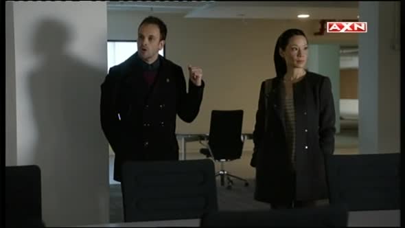 Náhled Sherlock Holmes ( Jak proste ) - Elementary ( serial 2012 ) S01E13 CZ.avi (5)