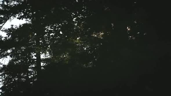 Náhled Útek na svobodu.avi (10)