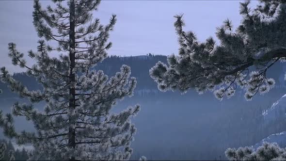 Náhled misery-nechce-zemrit-cz-dvdrip-warezfilm-webnode-cz.avi (2)
