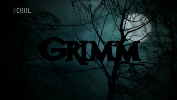 Náhled Grimm S01E05 Krysař CZdab..avi (1)