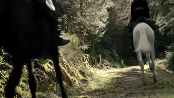 Náhled 2.Sherlock-Holmes-Hra-stínů-CZ---2011-.avi (7)