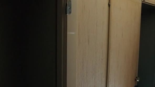 Náhled Divka, ktera si hrala s ohněm 2009 CZ dabing.avi (1)