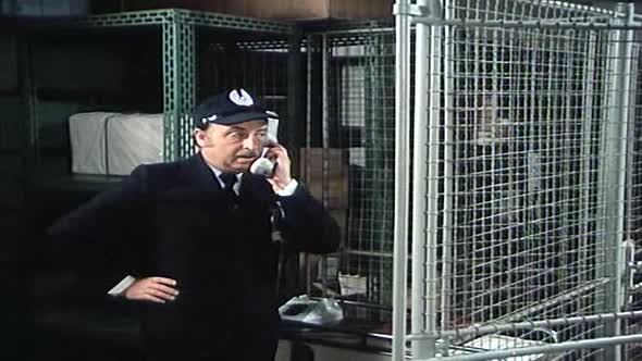 Náhled Zitra vstanu a oparim se cajem.avi (1)
