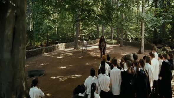 Náhled 3 Harry Potter a vezen z azkabanu (2004) CZ.avi (3)
