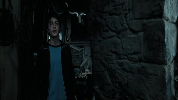 Náhled 3 Harry Potter a vezen z azkabanu (2004) CZ.avi (8)