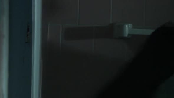 Náhled Maniak (Maniac). CZ DABING.NOVINKY.(2012).avi (4)