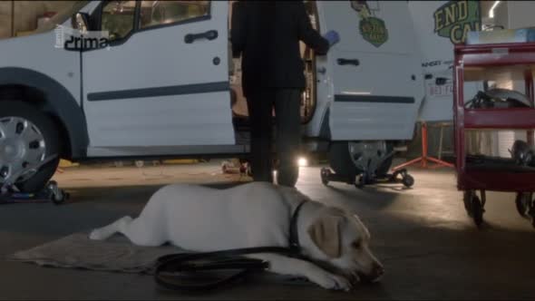 Náhled Rizzoli & Isles - Vrazdy na pitevne.S03E14.TVRip.XviD.CZ.avi (3)