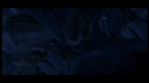 Náhled Dinosaurus - Walt Disney (pohadky novinky 2010 cz dabing).avi (8)
