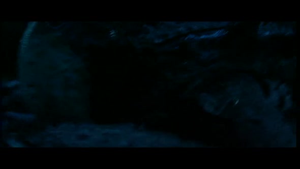 Náhled vetrelec-vs-lovec - 2007 - dvdrip - xvid - czdab.avi (5)
