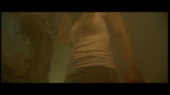 Náhled vetrelec-vs-lovec - 2007 - dvdrip - xvid - czdab.avi (8)