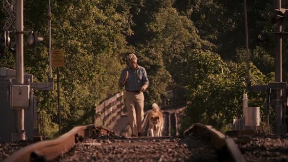 Náhled Haciko---pribeh-psa-2009-BRRip.avi (5)