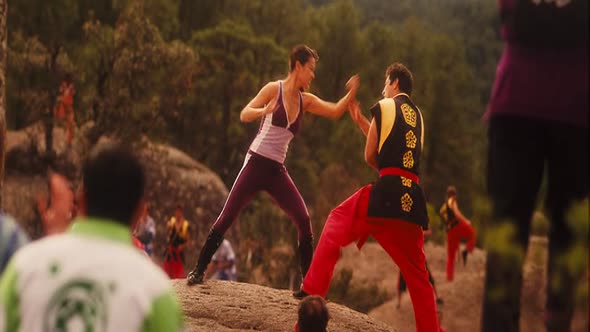 Náhled Dragonball-Evoluce (2009).avi (5)