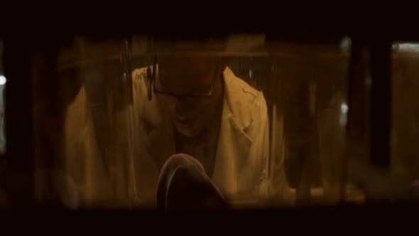 Náhled Ja, legenda (2007) DVDRip CZ horor-drama-thriller.avi (2)
