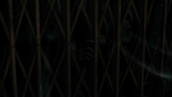 Náhled Harry_Potter_a_Relikvie_smrti_-_cast_1_2010_CZ.avi (5)