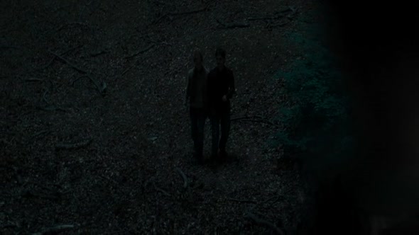 Náhled Harry_Potter_a_Relikvie_smrti_-_cast_1_2010_CZ.avi (6)