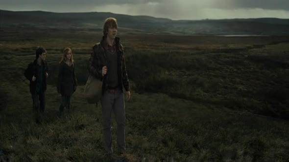Náhled Harry_Potter_a_Relikvie_smrti_-_cast_1_2010_CZ.avi (9)
