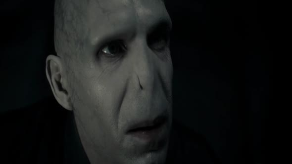 Náhled Harry_Potter_a_Relikvie_smrti_-_cast_1_2010_CZ.avi (10)