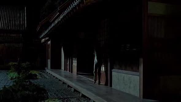 Náhled Ninja Assassin.avi (4)