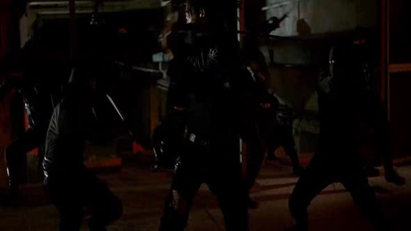 Náhled Ninja Assassin.avi (8)