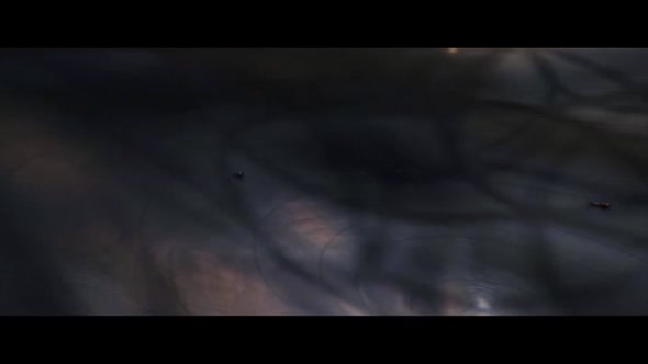 Náhled Polární expres.avi (8)