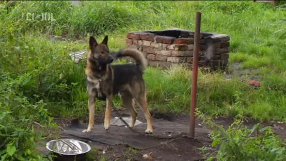 Náhled Bastardi 1 (2010) Drama.avi (4)