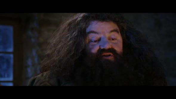 Náhled Harry Potter a Kámen mudrců (2001).avi (1)