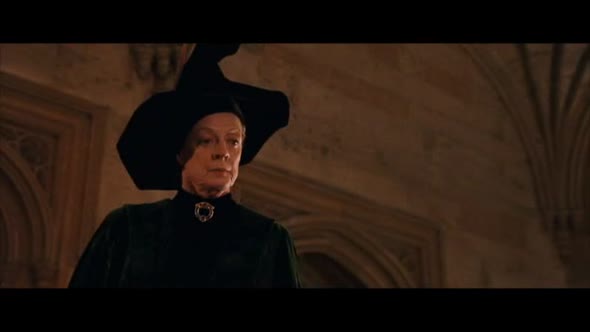 Náhled Harry Potter a Kámen mudrců (2001).avi (3)