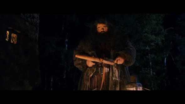 Náhled Harry Potter a Kámen mudrců (2001).avi (8)