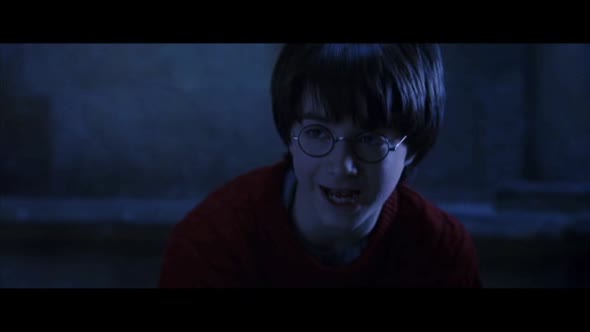 Náhled Harry Potter a Kámen mudrců (2001).avi (9)