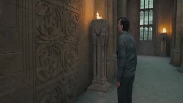 Náhled Harry Potter (5) a Fenixuv rad.avi (5)