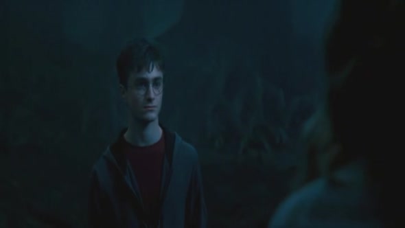 Náhled Harry Potter (5) a Fenixuv rad.avi (9)