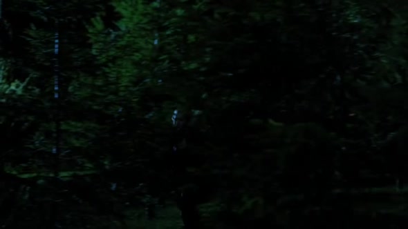 Náhled Grimm S01E02.cz.avi (1)