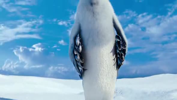 Náhled Happy Feet 2 (2011) super kvalita CZ dabing.avi (6)