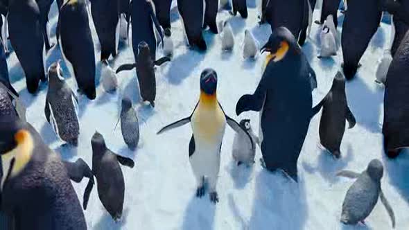 Náhled Happy Feet 2 (2011) super kvalita CZ dabing.avi (9)