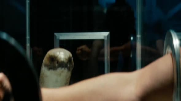 Náhled G.I. Joe. CZ DABING.NOVINKY.(2009).avi (2)