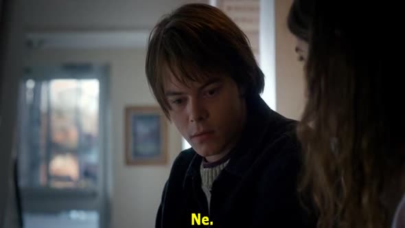 Náhled Stranger Things.S01E04.CZ titulky.WEBRip.avi (8)