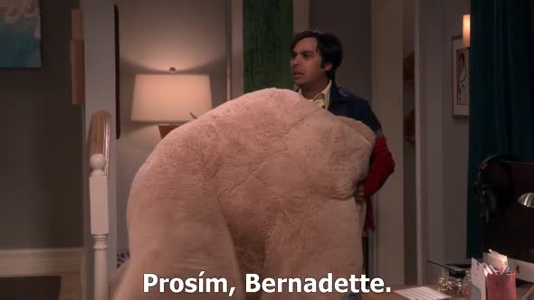 Náhled The Big Bang Theory S09E20 - CZ-Titulky 720p.avi (6)