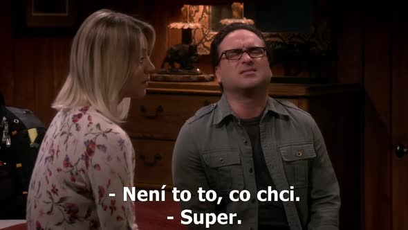 Náhled The Big Bang Theory S09E20 - CZ-Titulky 720p.avi (10)