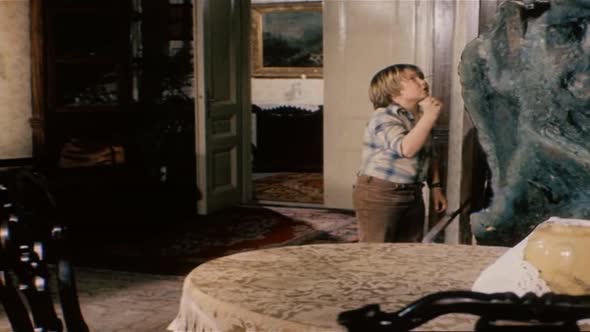 Náhled Letajici Cestmir 6.dil - Posledni kvetina DVDRIP CZ.avi (7)