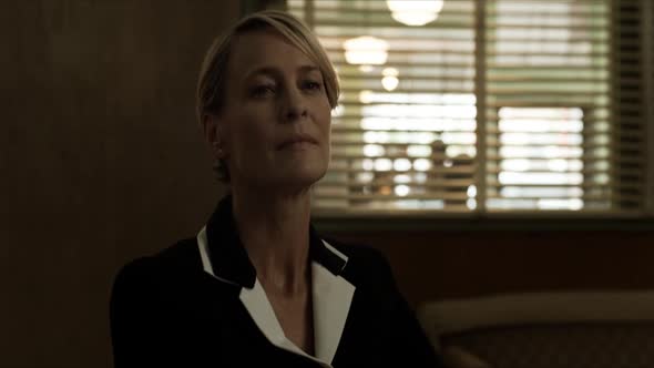 Náhled House.Of.Cards.S04E01.WEBRip.x264-TURBO.mp4 (7)