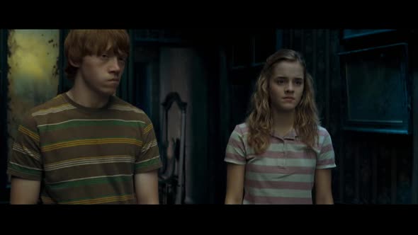 Náhled Harry Potter a Fénixův řád.avi (1)