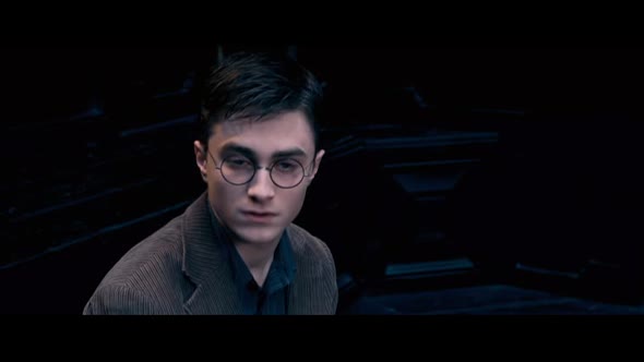 Náhled Harry Potter a Fénixův řád.avi (2)