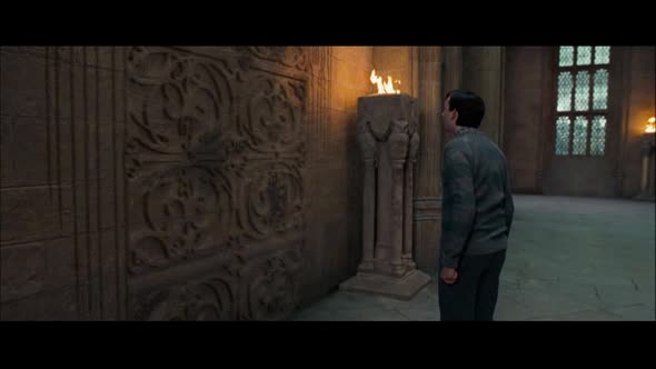 Náhled Harry Potter a Fénixův řád.avi (5)