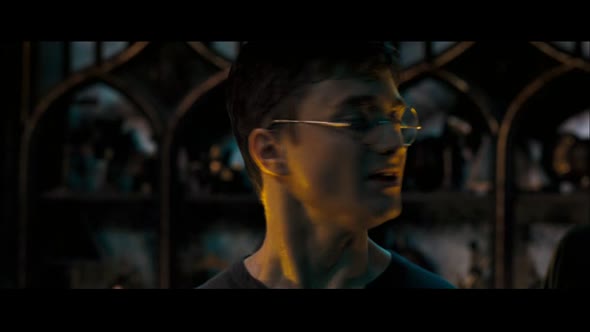 Náhled Harry Potter a Fénixův řád.avi (6)