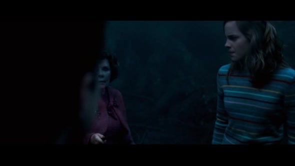 Náhled Harry Potter a Fénixův řád.avi (9)