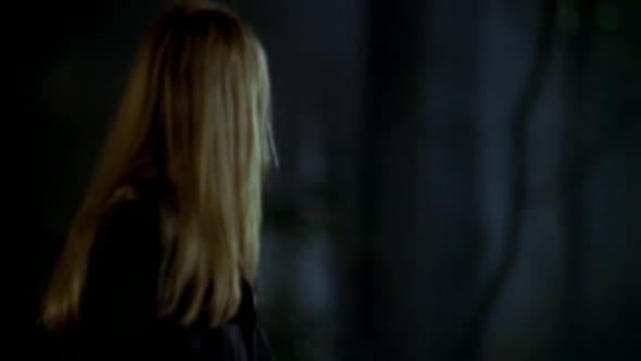 Náhled Hranice nemožného (Fringe) 1x04 - Příchod (DVDRip CZ EN dabing).avi (9)