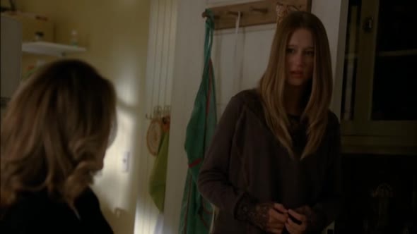 Náhled American Horror Story S01E06 - Prasohlav - DVDRip.CZdab.avi (2)
