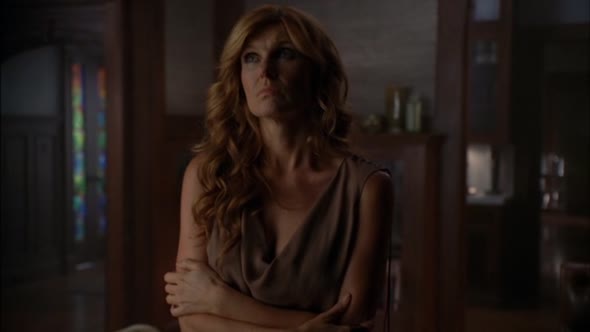 Náhled American Horror Story S01E06 - Prasohlav - DVDRip.CZdab.avi (3)