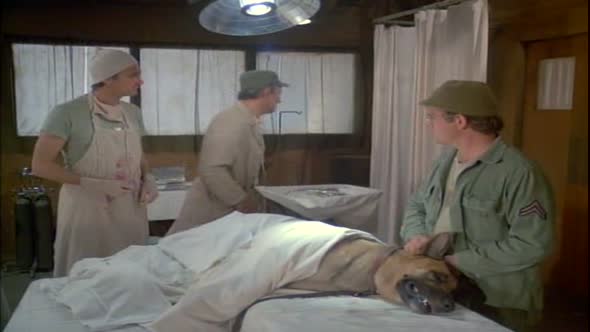 Náhled MASH 109 DVDRip CZ.avi (3)